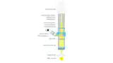 Adapting a digital camera to a microscope