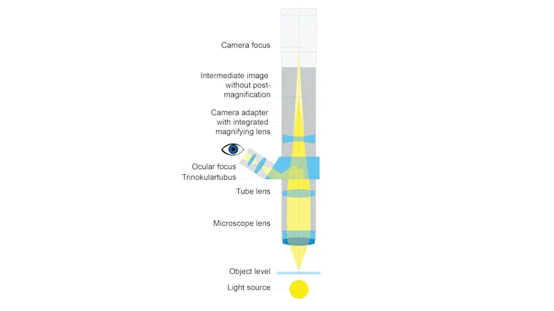 Adapting a digital camera to a microscope