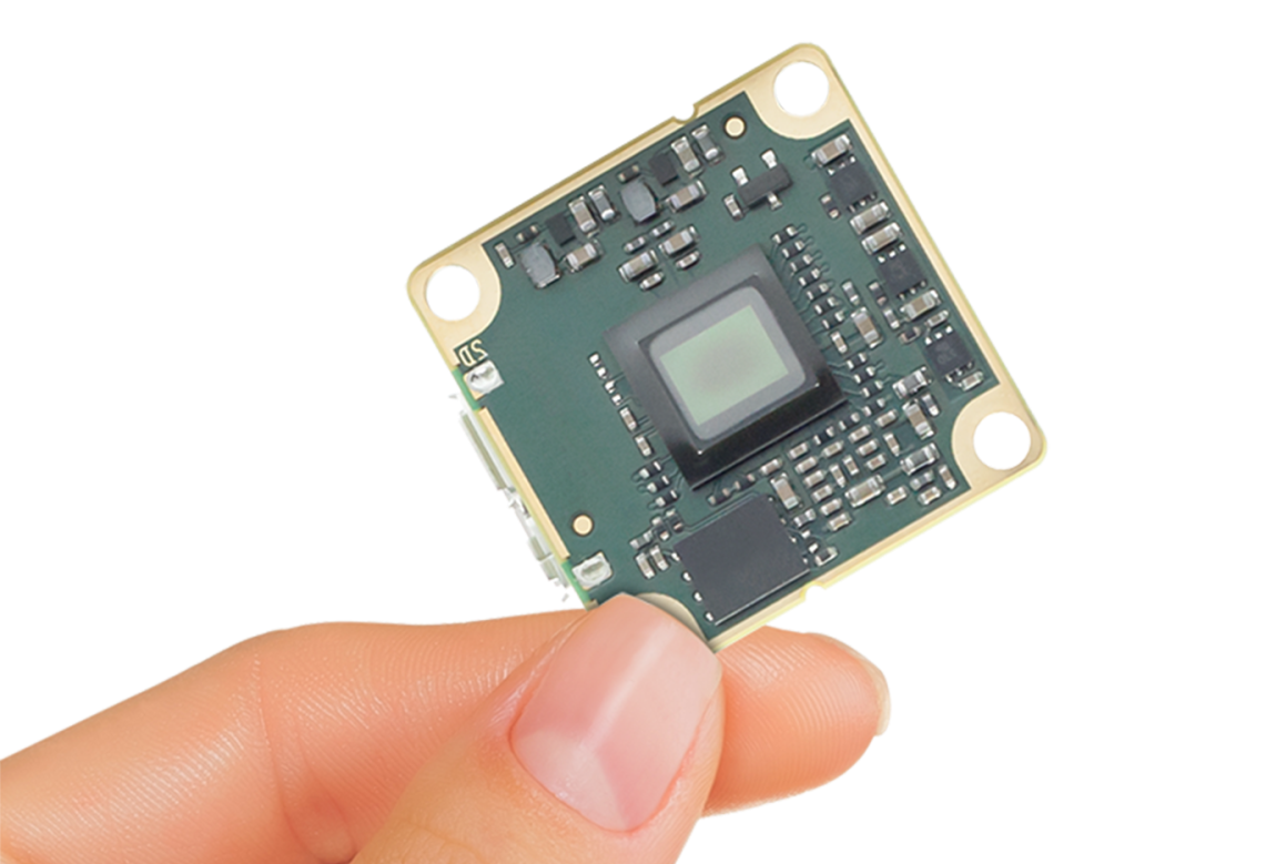 Bareboard Basler dart