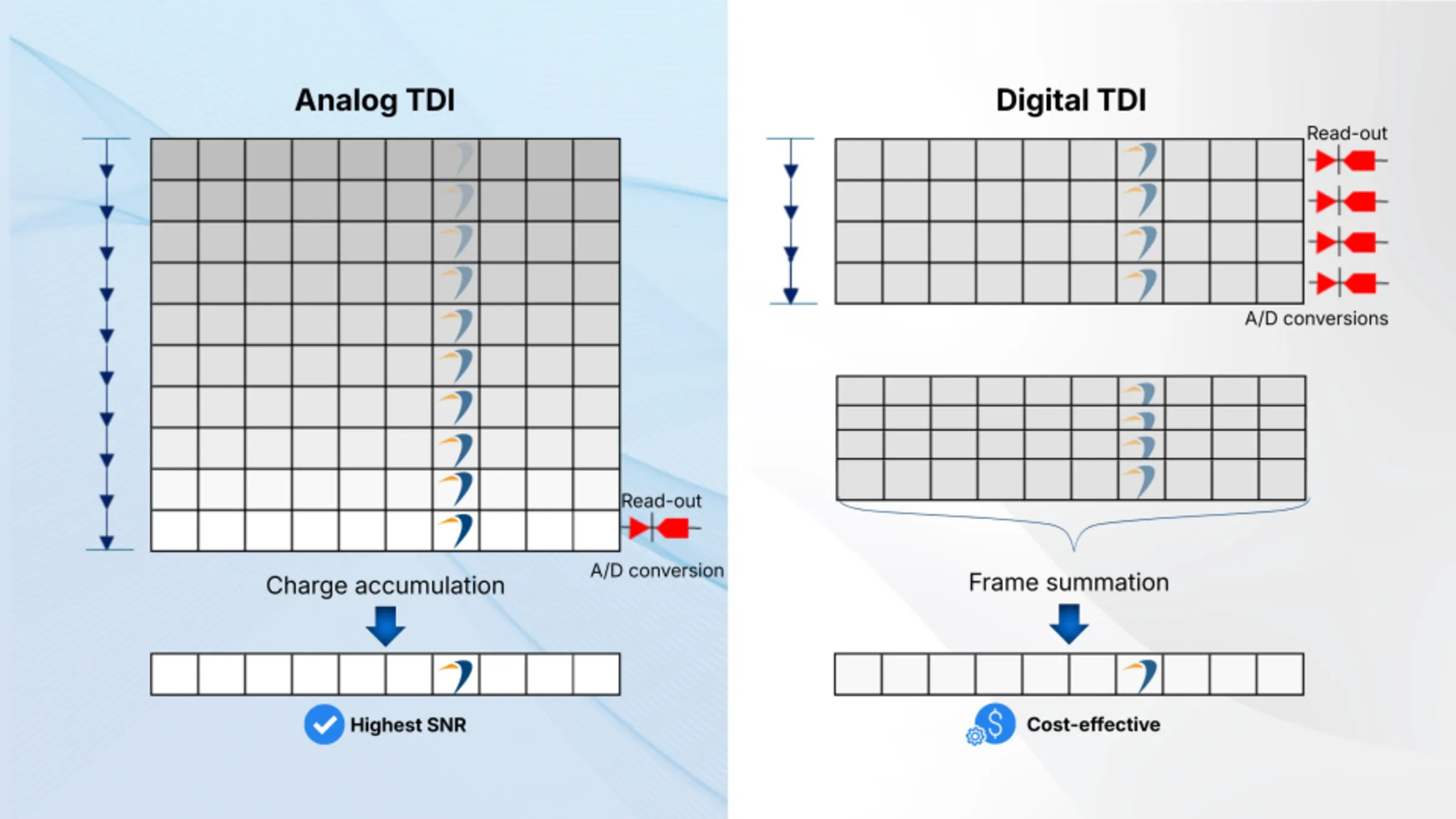 Comparison of analog TDI sensors and digital TDI in line-scan cameras