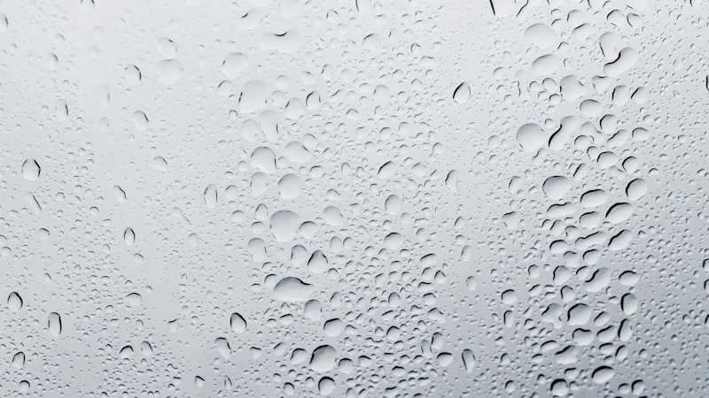 潮湿空气和飞溅液滴要求系统具备IP67级防护