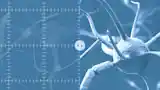 在计算机视觉应用中运用深度学习技术